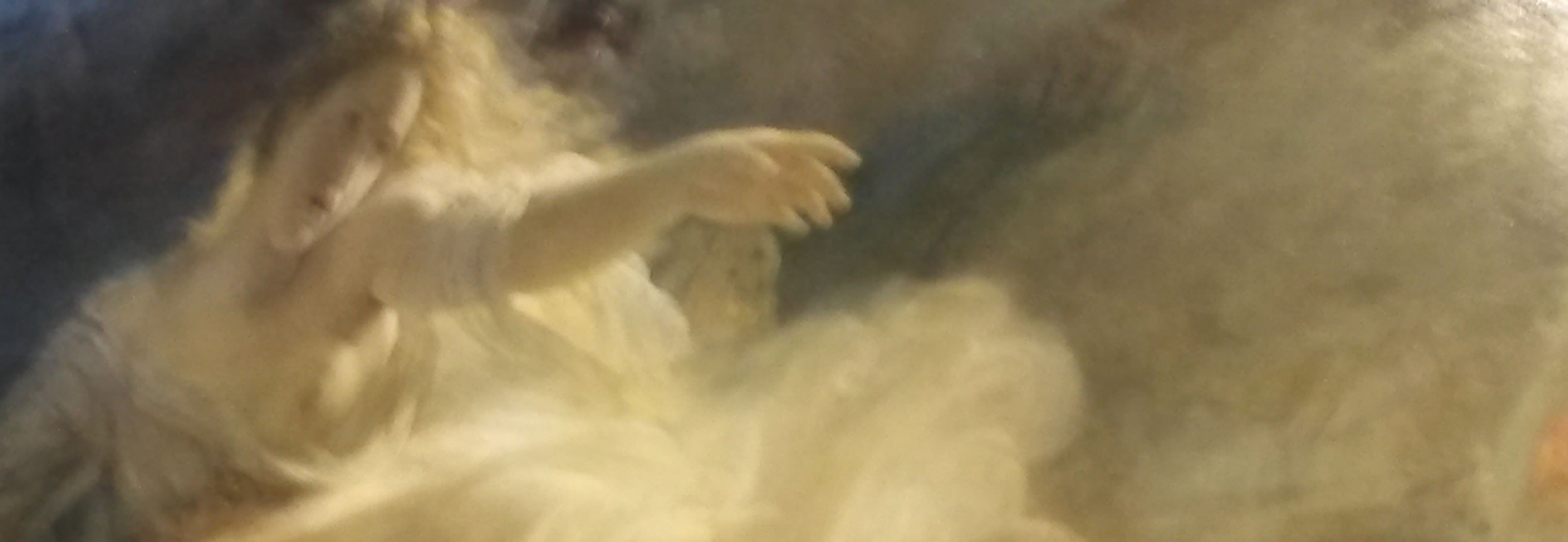 Header afbeelding